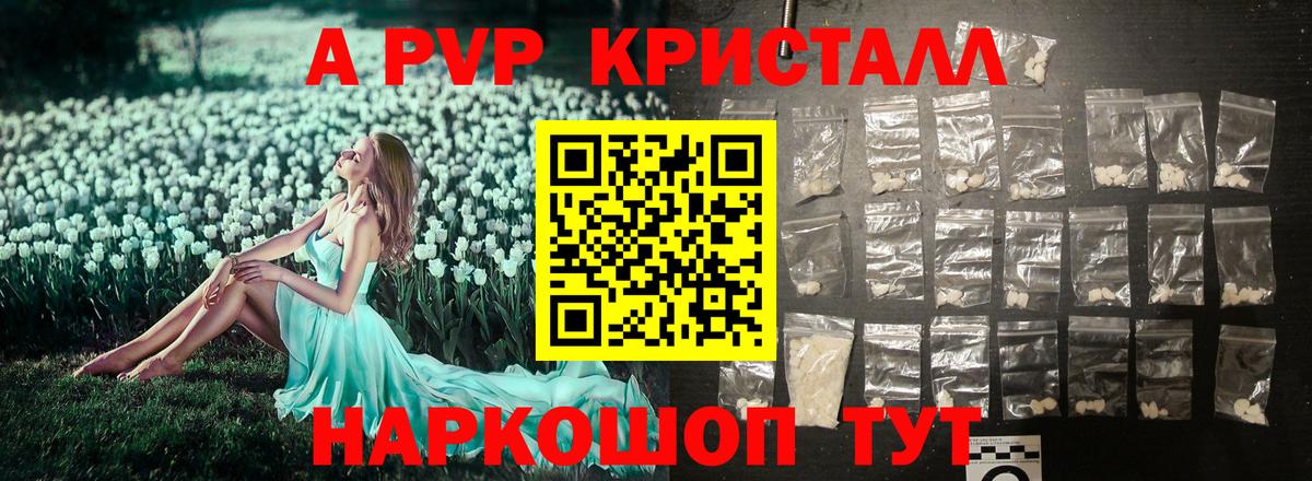 Alfa_PVP крисы CK Моздок