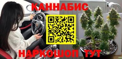МДПВ Донской