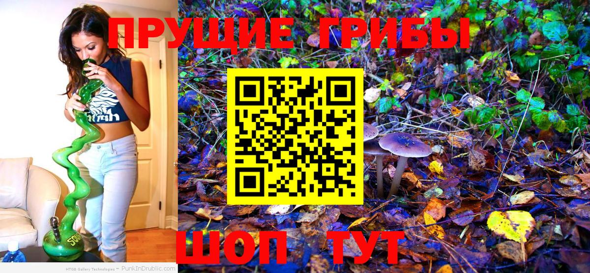 Моздок  Галлюциногенные грибы GOLDEN TEACHER  Вход с VPN 