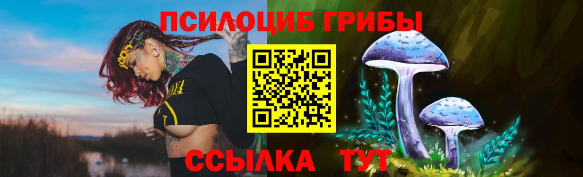 Псилоцибиновые грибы мицелий Моздок